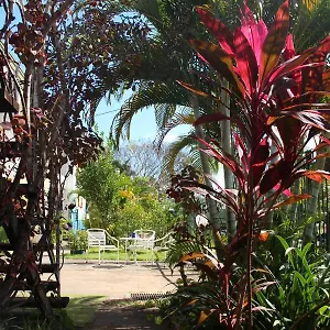 asylum-cairns-backpackers-hostel.cairnshotels4all.com/
